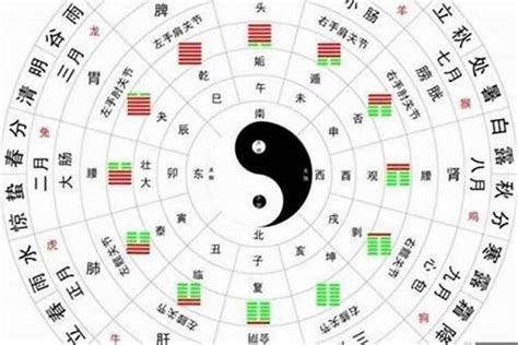 白虎 八字|八字格局详解：白虎持势格、白虎焚身格、白虎衔尸格